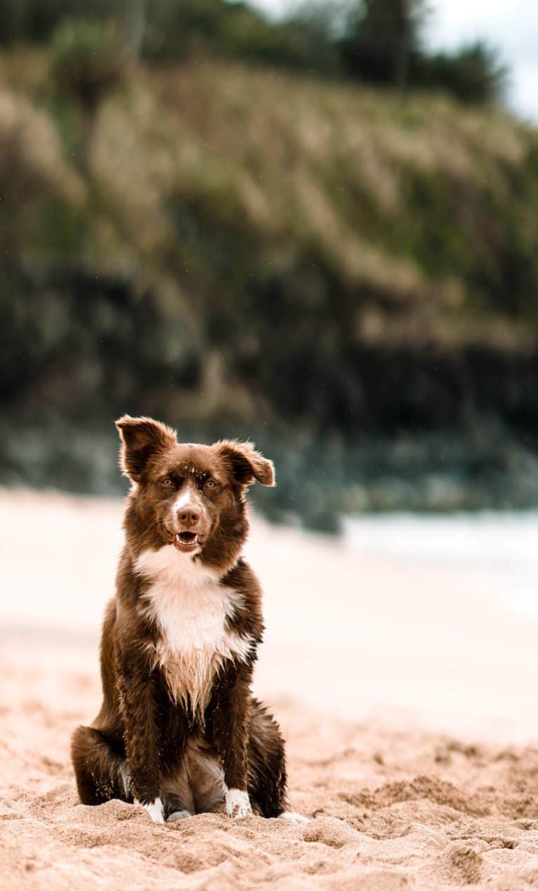 Blueys Beach NSW New Land Lots Available for purchase